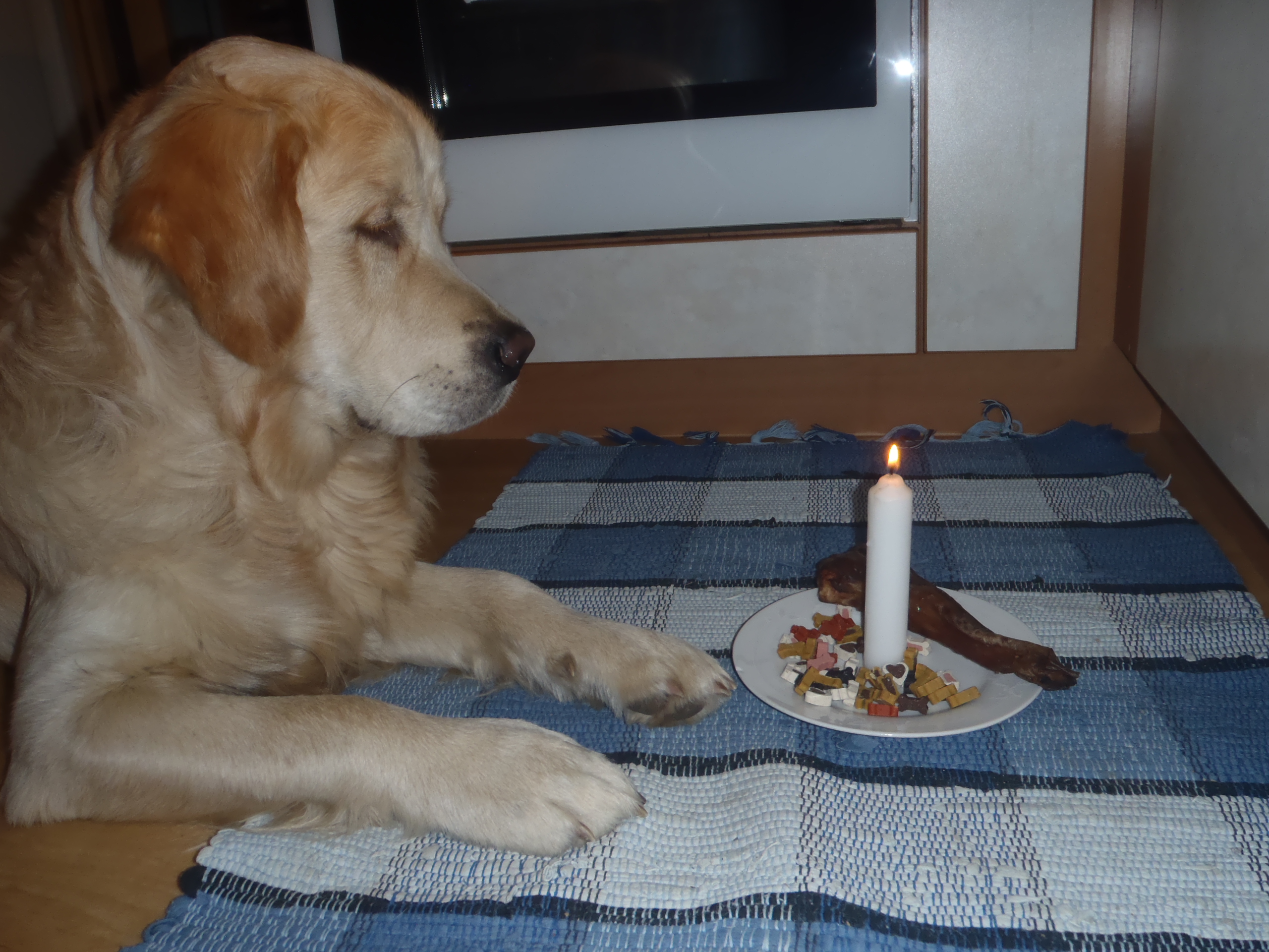 Merlin Geburtstag.JPG